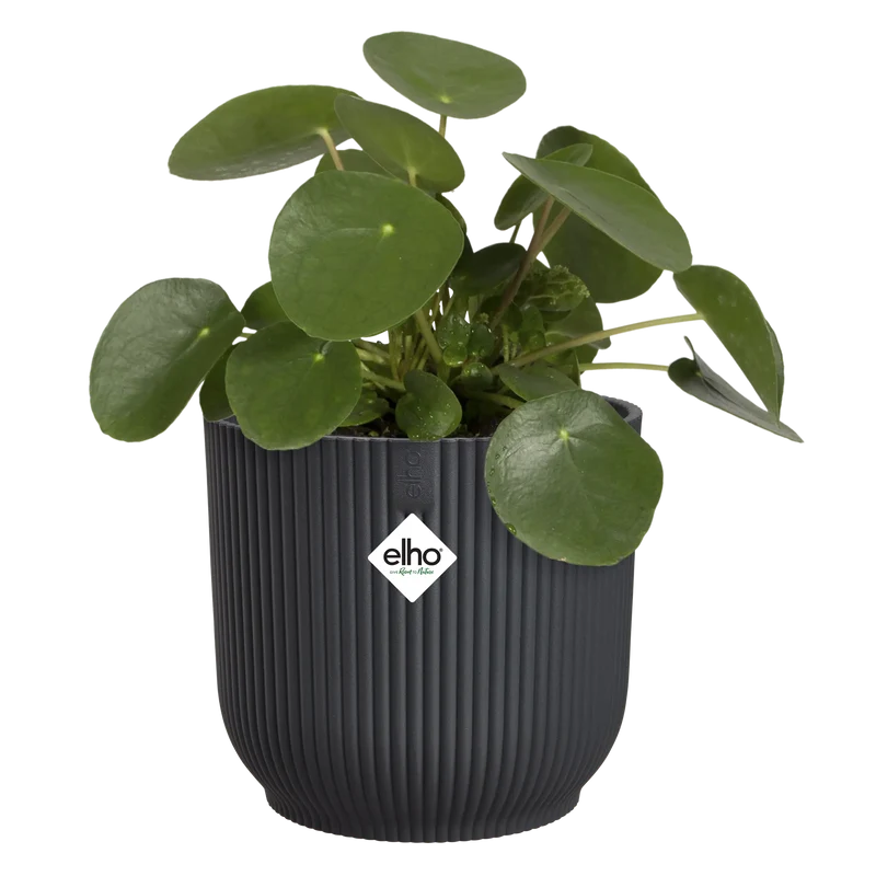 Vaso Vibes Fold Round D 18 x h 17 cm Antracite ELHO