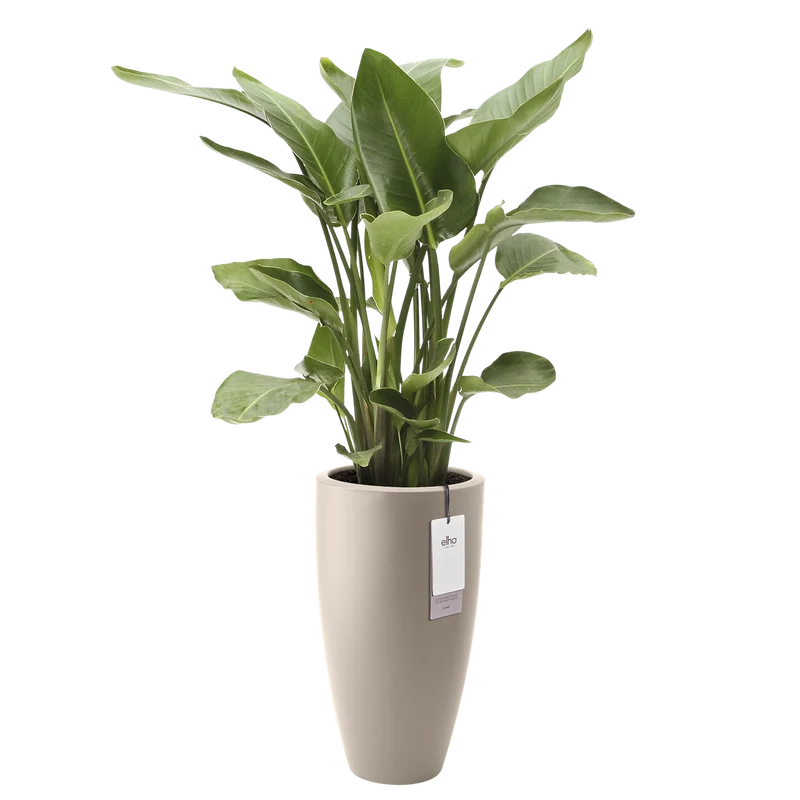 Vaso Rotondo Alto D 39 x H 70 cm Beige ELHO
