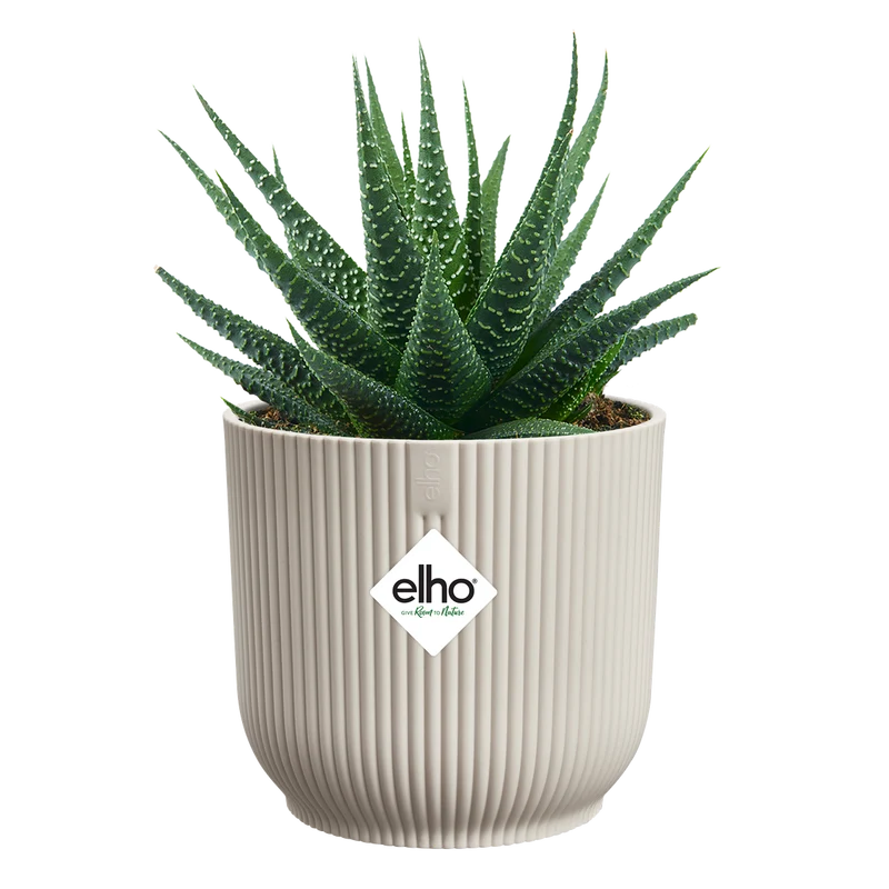 Vaso Vibes Fold Round Mini D 9 x H 9 cm Bianco Lino ELHO