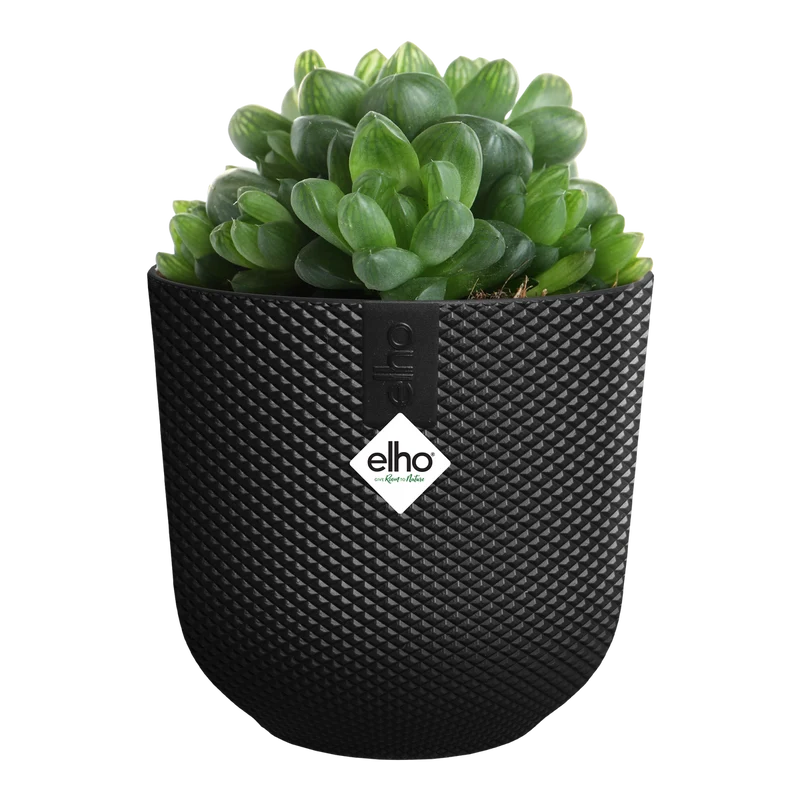 Vaso Jazz Round Mini D 11 x h 10 cm Nero ELHO