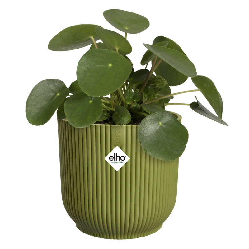 Vaso Vibes Fold Round D 22 x H 20 cm Verde Felce ELHO