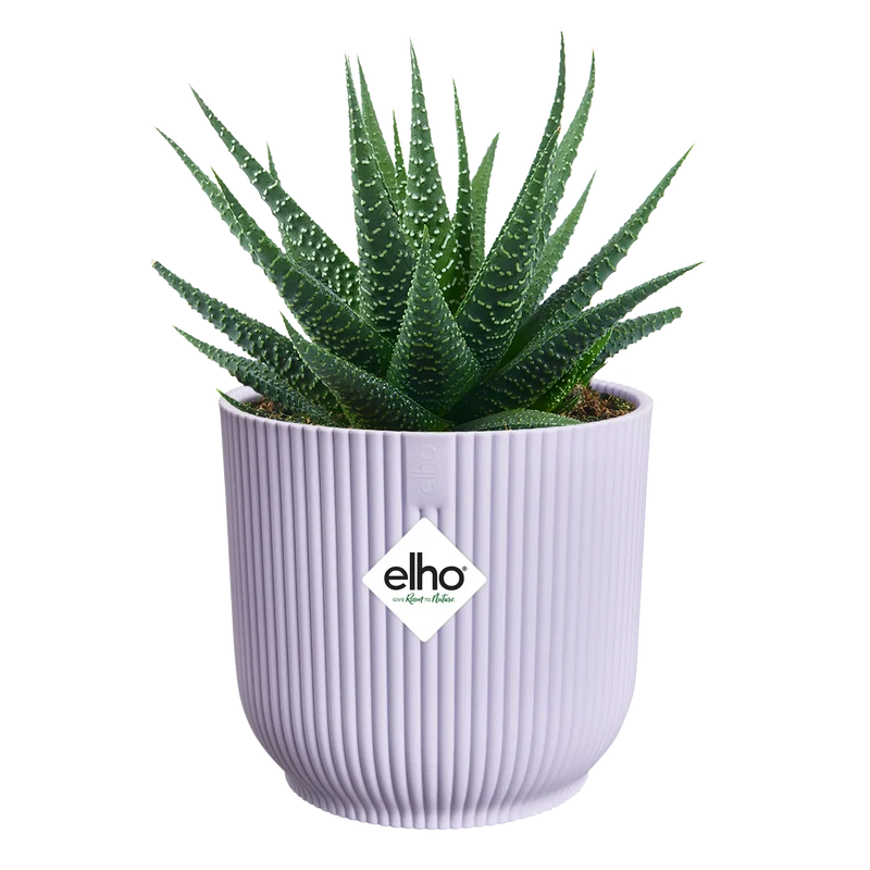Vaso Vibes Fold Round Mini D 9 x H 9 cm Lilla Tenue ELHO