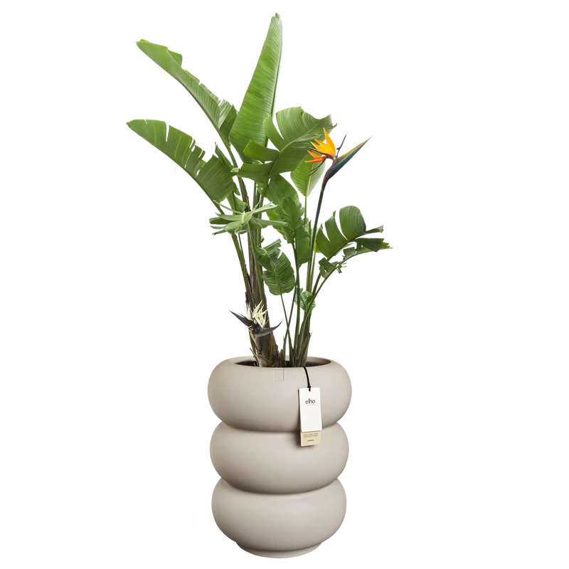 Vaso Amber Roll High D 43 x h 58 cm beige ELHO