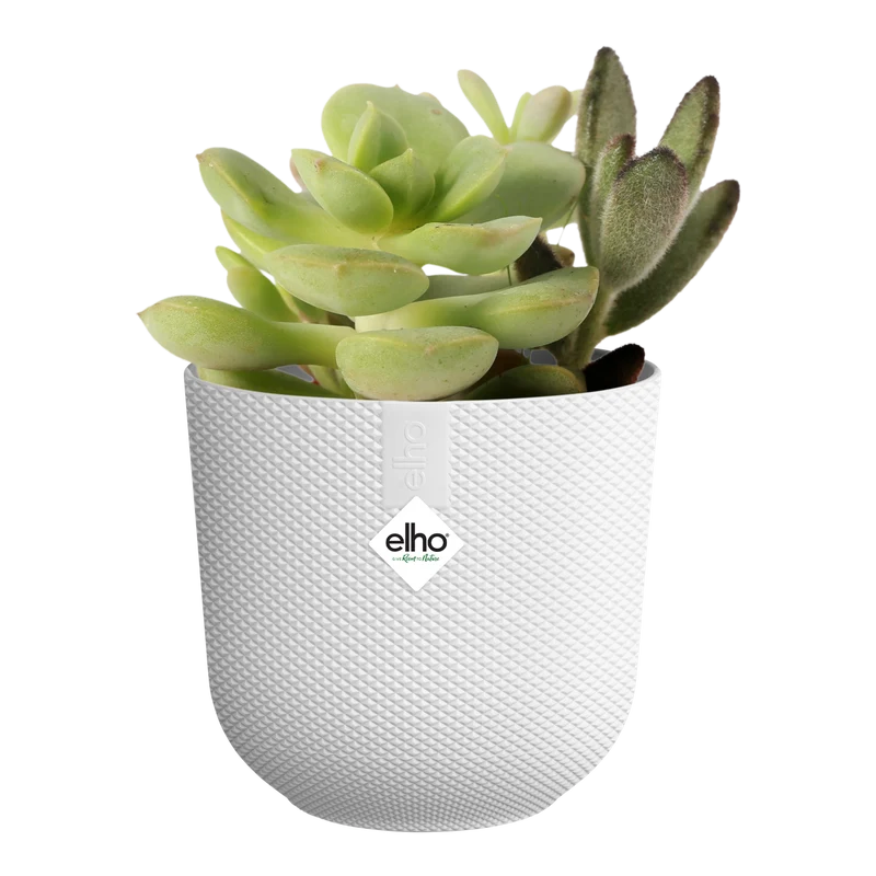 Vaso Jazz Round Mini 11CM Silky White ELHO