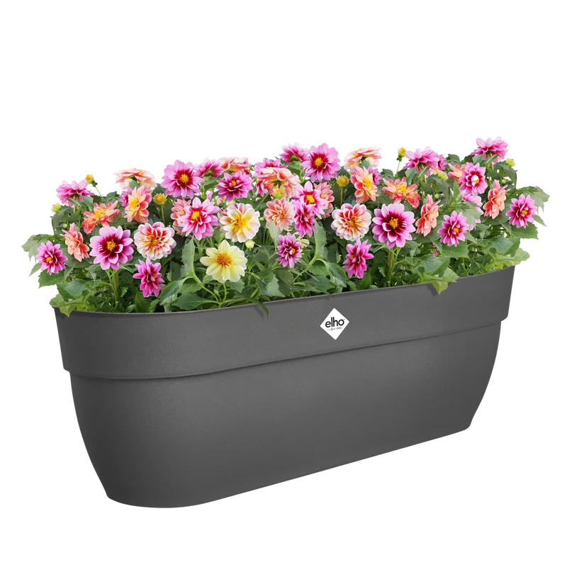 Vaso Vibia Campana Easy Hanger XL W 58 x H 27 x D 24 cm Antracite ELHO