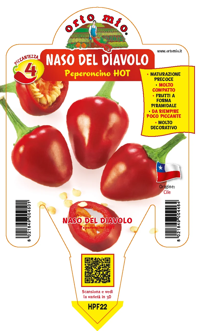 PIANTA DI PEPERONCINO PANCHO (IN VASO Ø 14CM)