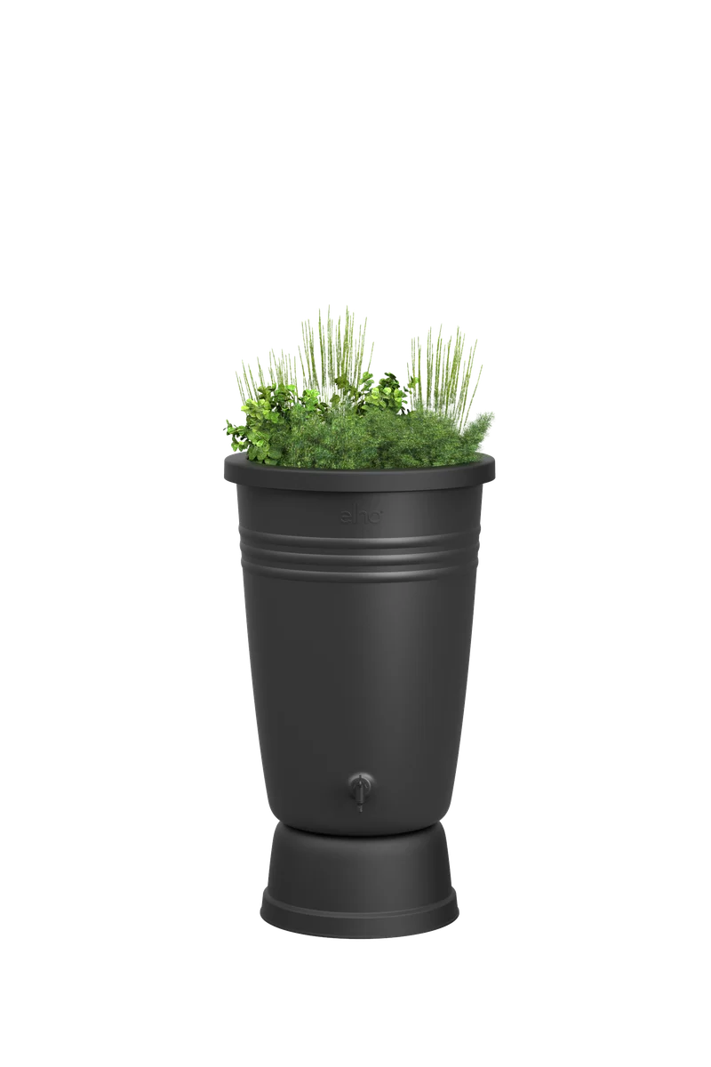 Recuperatore d'Acqua Piovana Green Basics Rainbarrel Plus 110L Living Black Elho