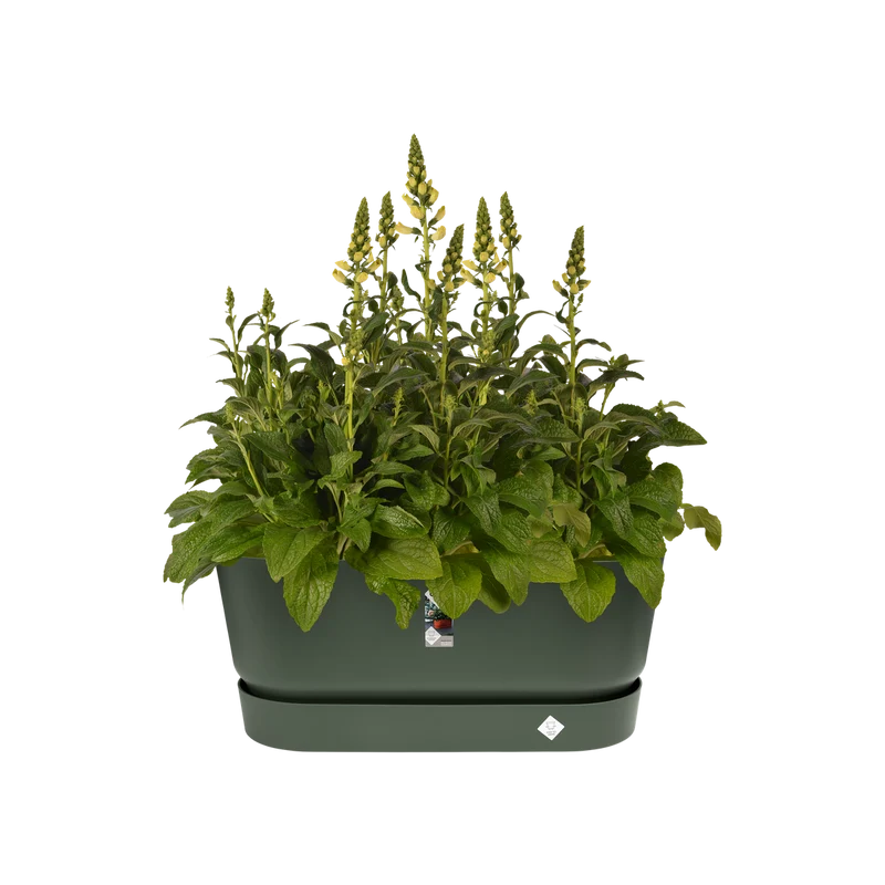 Fioriera con Ruote Greenville Terrace Trough 80cm Leaf Green Elho