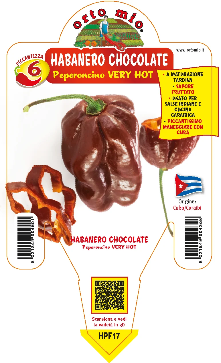 PIANTA DI PEPERONCINO HABANERO CHOCOLATE (IN VASO Ø 14CM)