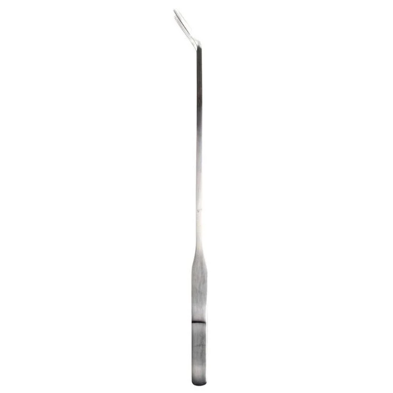 Pinzetta per Terrario 26.6 cm Argento