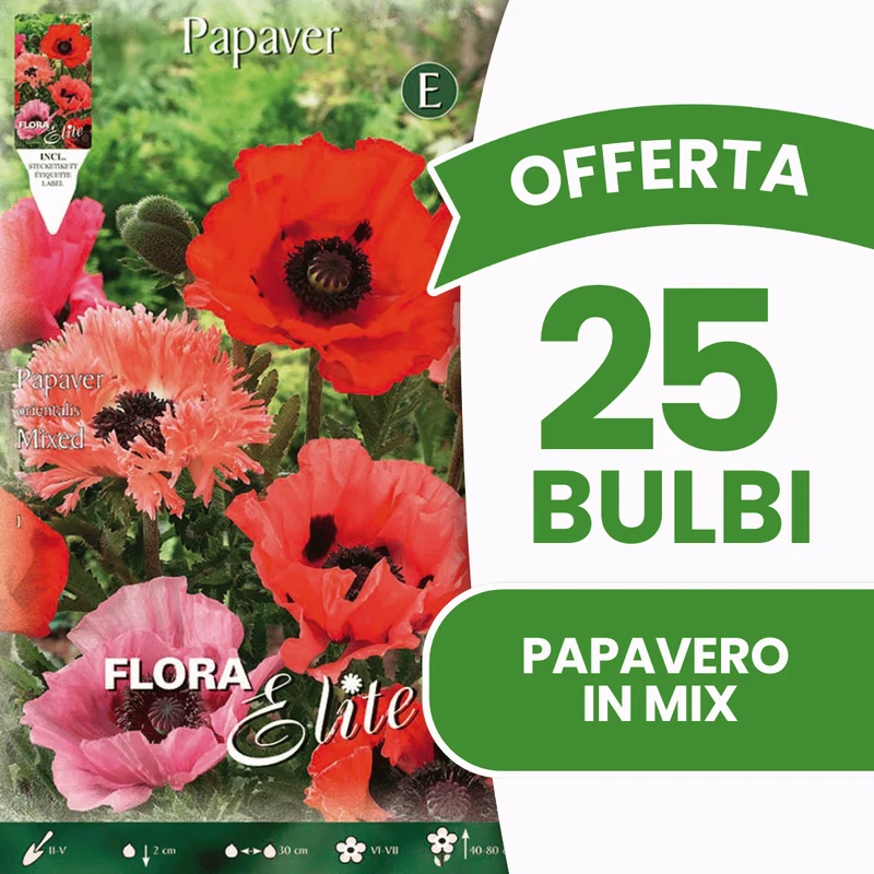 OFFERTA 25 BULBI PAPAVERO IN MIX DI COLORI