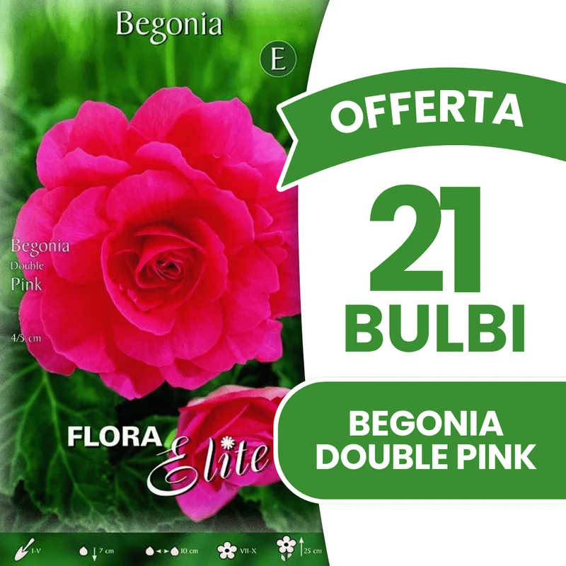 Offerta 21 Bulbi Begonia Double Pink