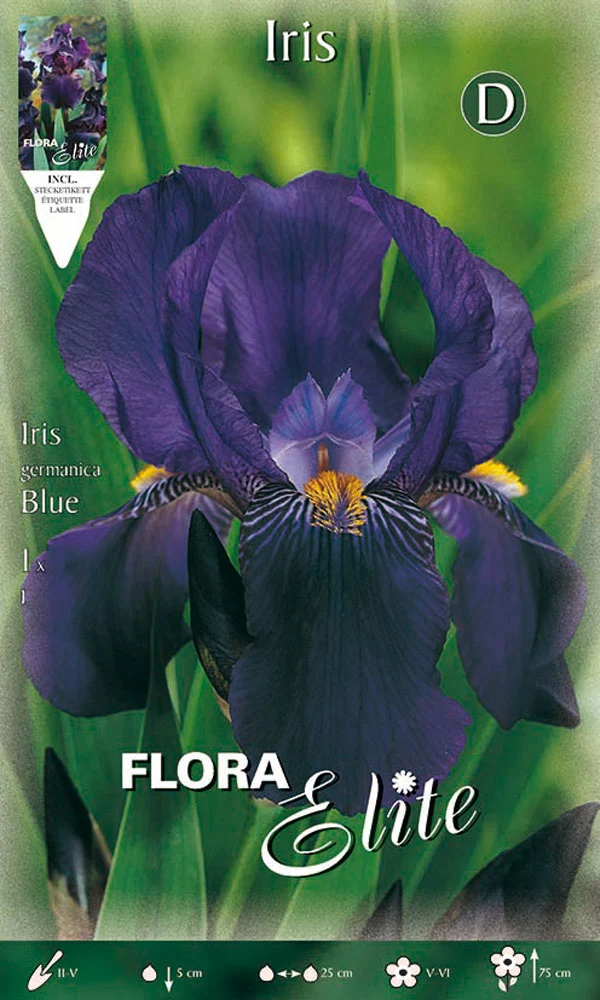 IRIS GERMANICA BLU (CONFEZIONE DA 1 BULBO)