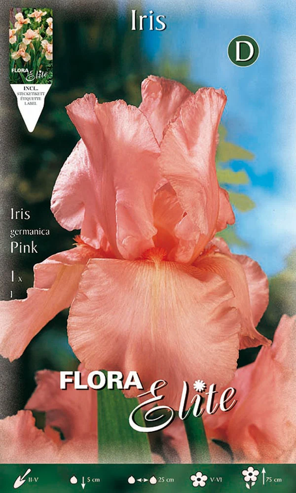 IRIS GERMANICA ROSA (CONFEZIONE DA 1 BULBO)