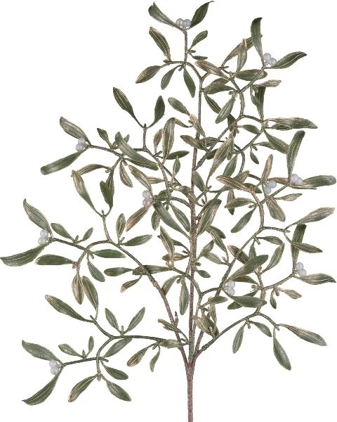 Vischio Artificiale Oro 55 cm