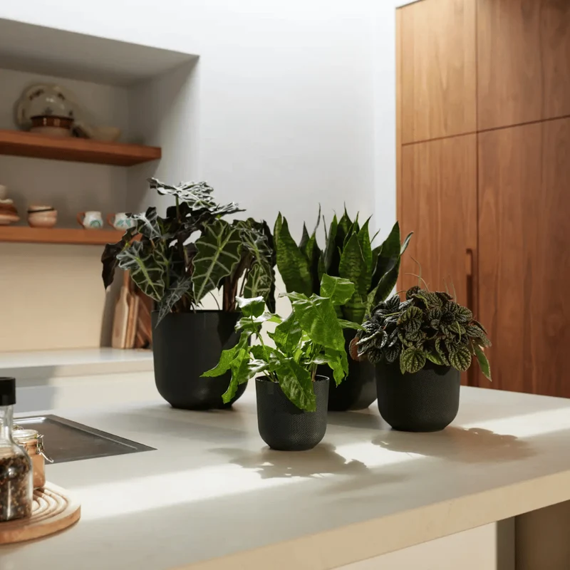 VASO JAZZ ROUND 23CM LIVING BLACK