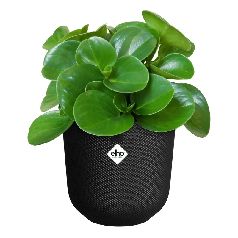 VASO JAZZ ROUND 19CM LIVING BLACK