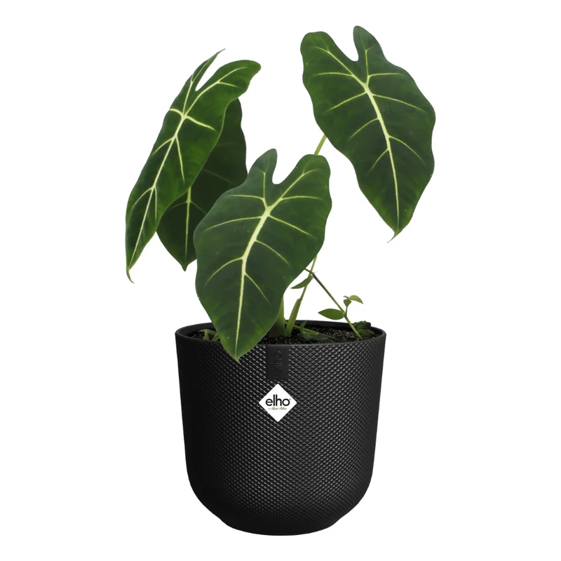 VASO JAZZ ROUND 14CM LIVING BLACK