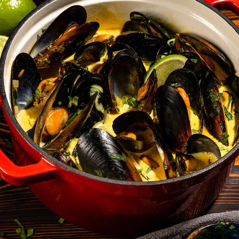CASSERUOLA IN GHISA SMALTATA 4.7 LT ROSSA
