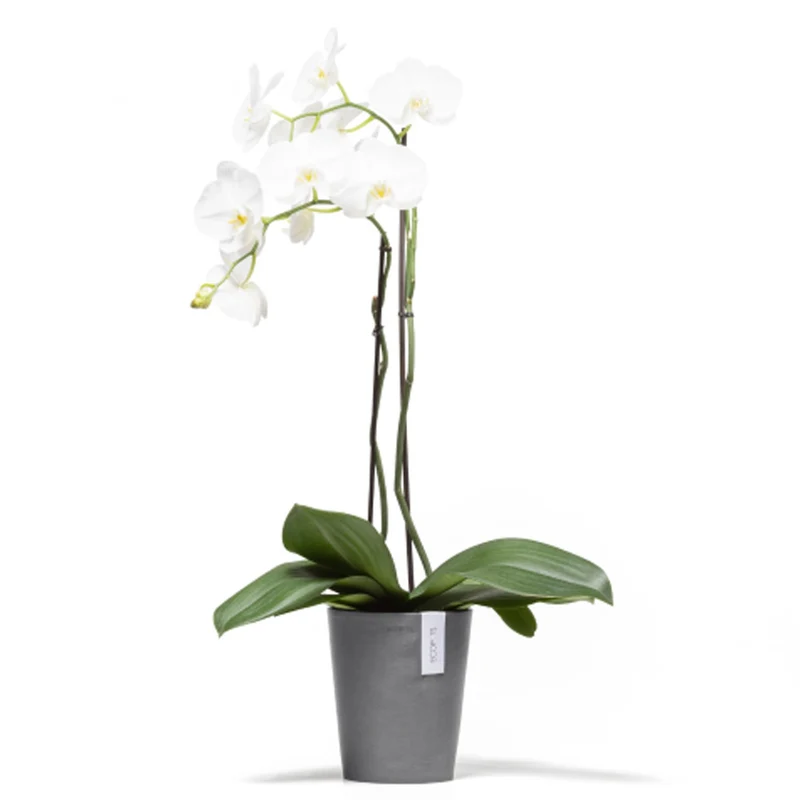 VASO DA TAVOLO ROTONDO MORINDA D14XH16CM GRIGIO