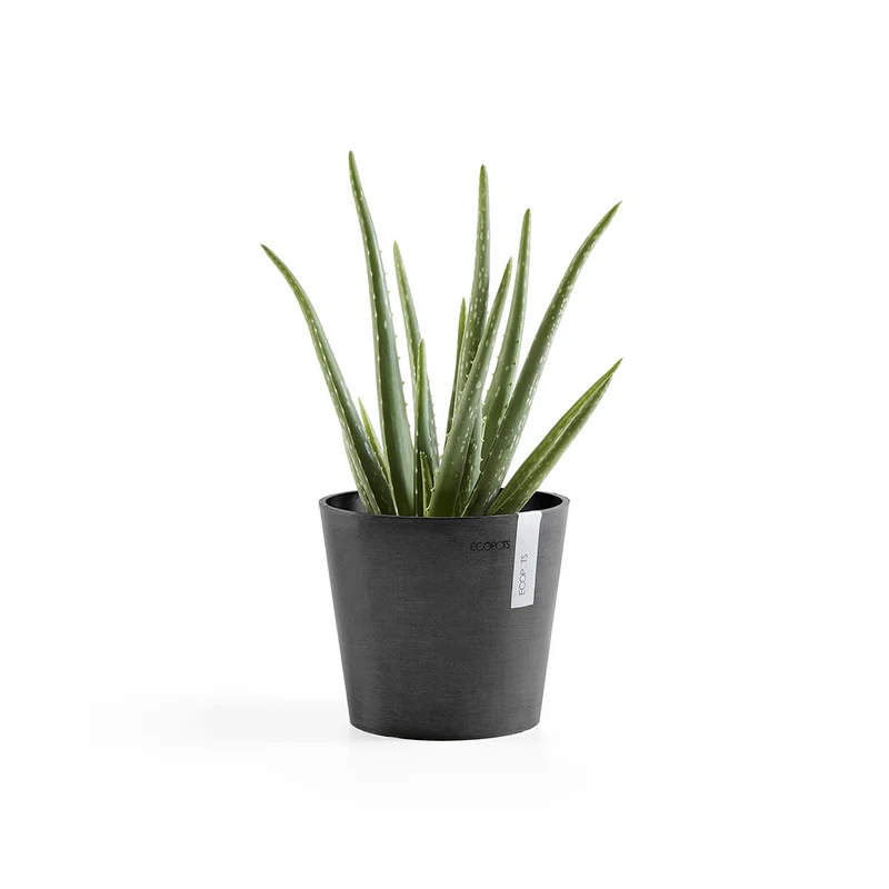 VASO AMSTERDAM MINI D17x14,9CM GRIGIO SCURO