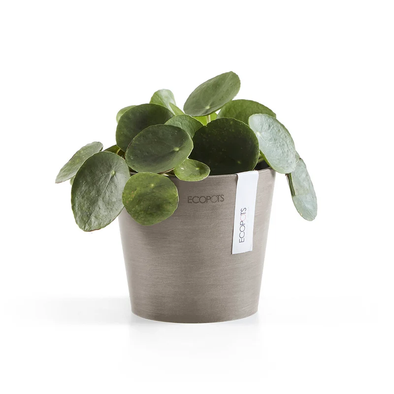 VASO AMSTERDAM MINI D13x11,4CM TALPA