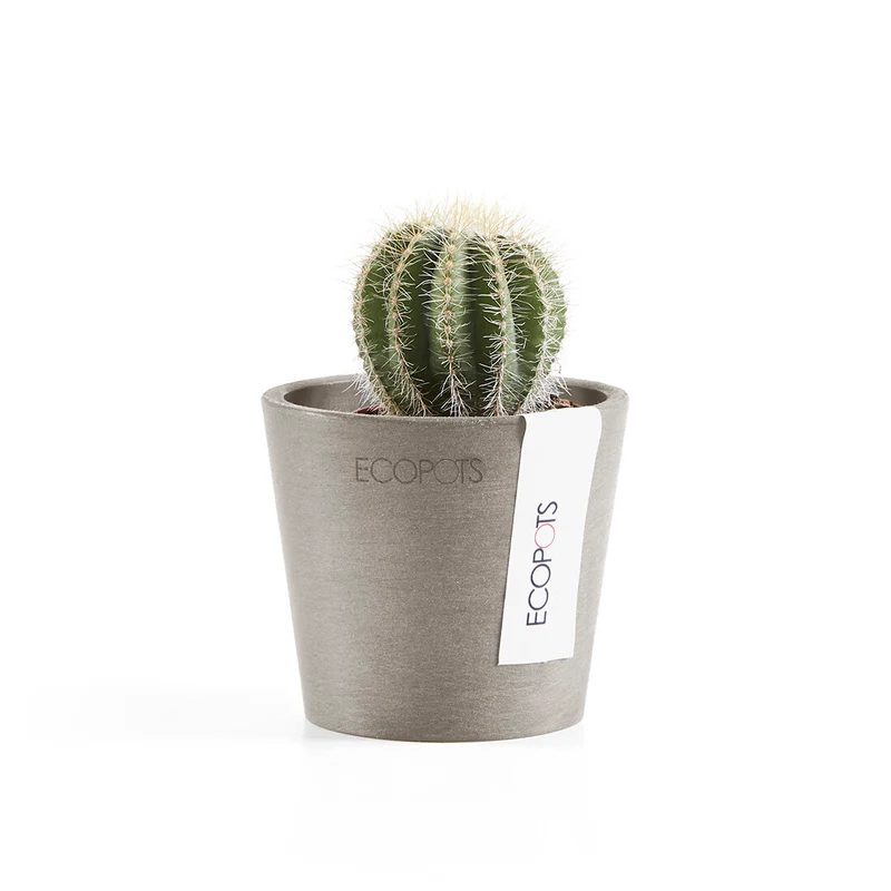 VASO AMSTERDAM MINI D8x7CM TALPA