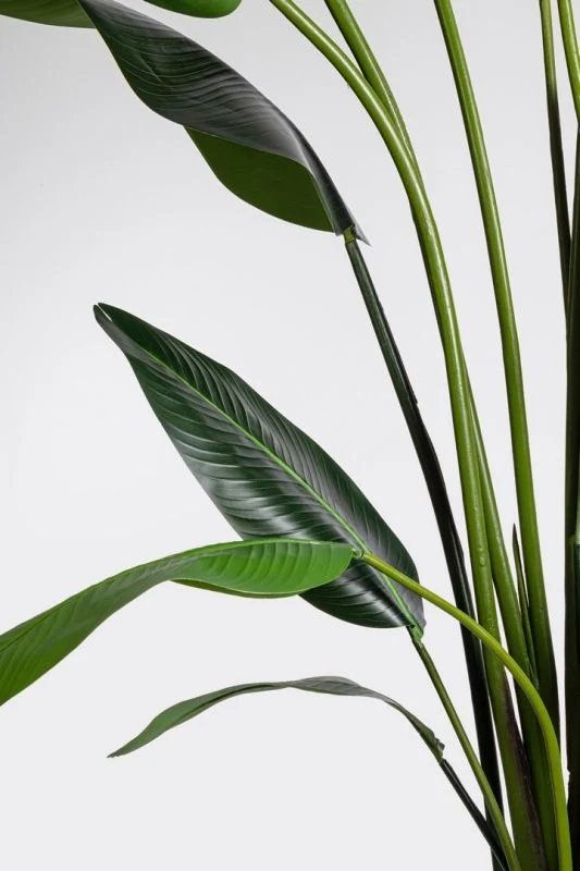 PIANTA ARTIFICIALE DA INTERNO STRELITZIA CON VASO 18 FOGLIE H310 CM