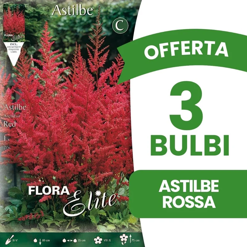 OFFERTA 3 BULBI ASTILBE ROSSA