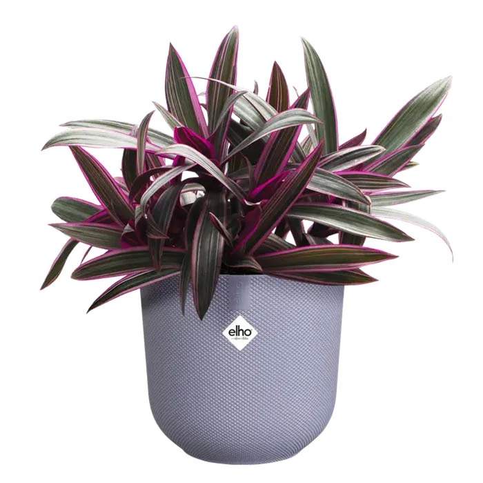 VASO JAZZ ROUND Ø16XH15CM LILLA