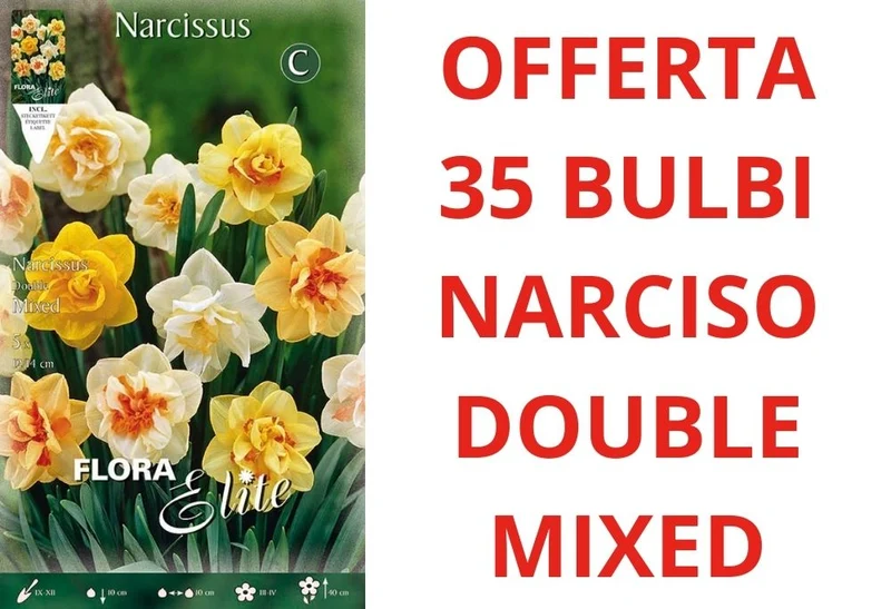 OFFERTA 35 BULBI DI BULBI NARCISO DOUBLE MIX