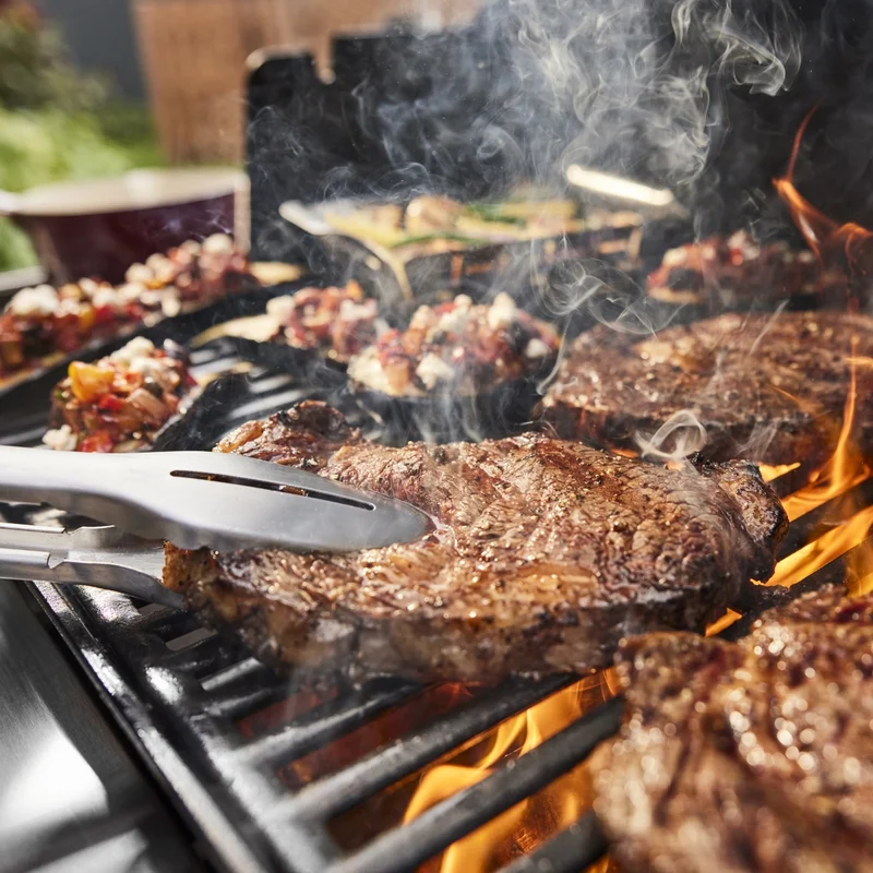 BARBECUE A GAS GENESIS E-415