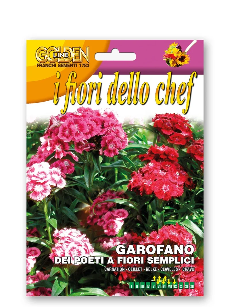 SEMI DI GAROFANO DEI POETI A FIORI SEMPLICI