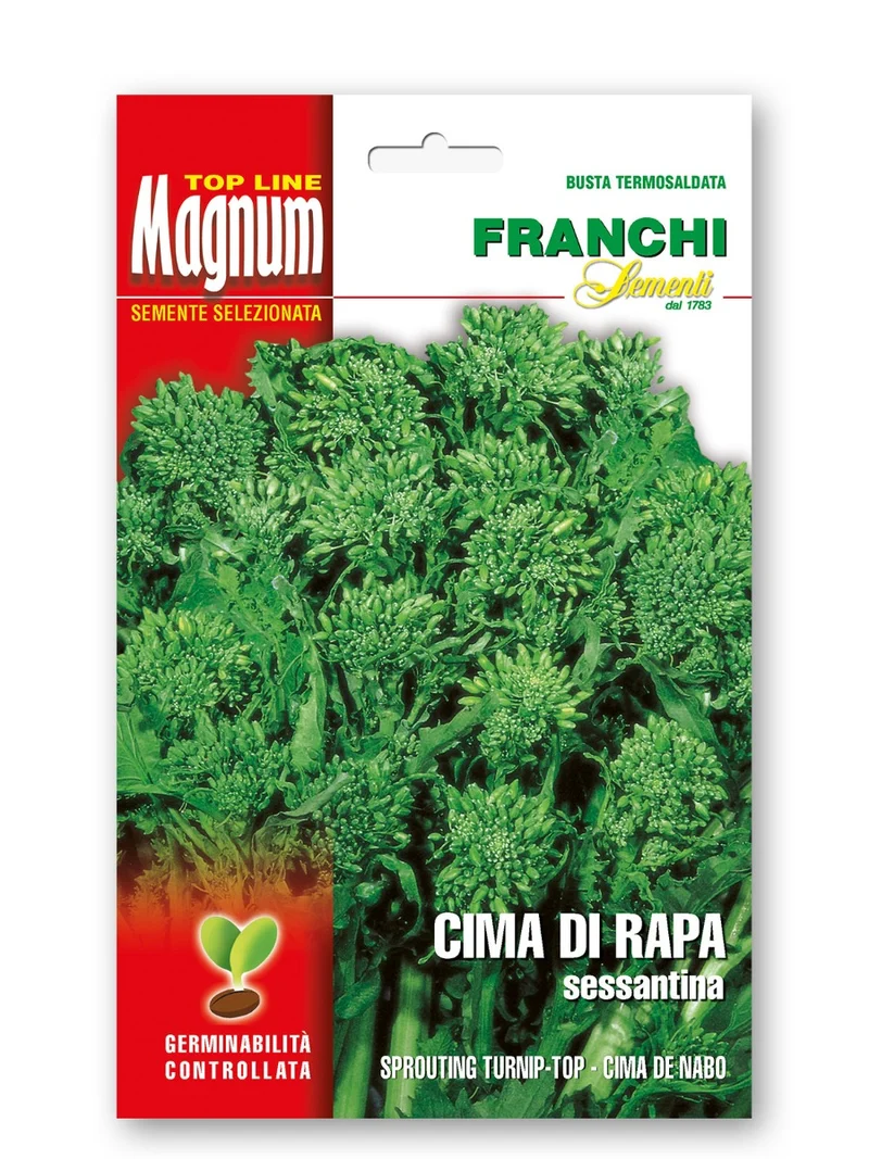 SEMI DI CIMA DI RAPA SESSANTINA