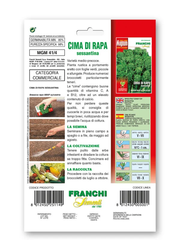 SEMI DI CIMA DI RAPA SESSANTINA