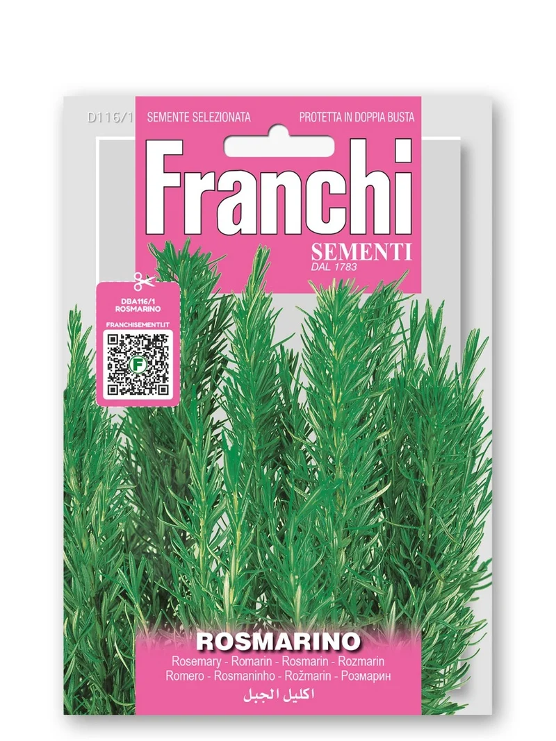 SEMI DI ROSMARINO