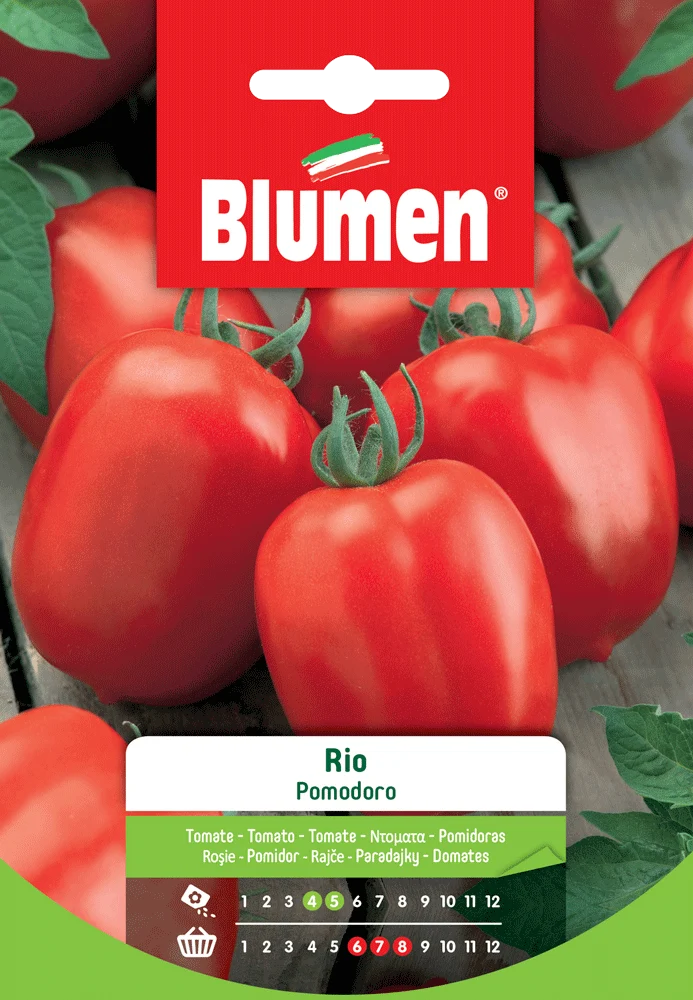 SEMI DI POMODORO RIO NANO