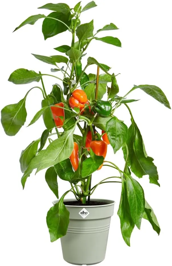 VASO GREEN BASICS GROWPOT 40CM VERDE PIETRA