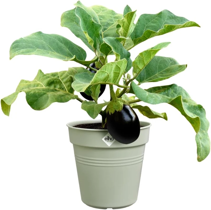 VASO GREEN BASICS GROWPOT 35CM VERDE PIETRA