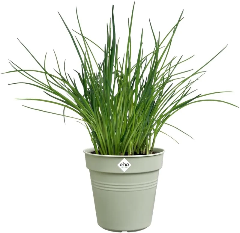 VASO GREEN BASICS GROWPOT 27CM VERDE PIETRA