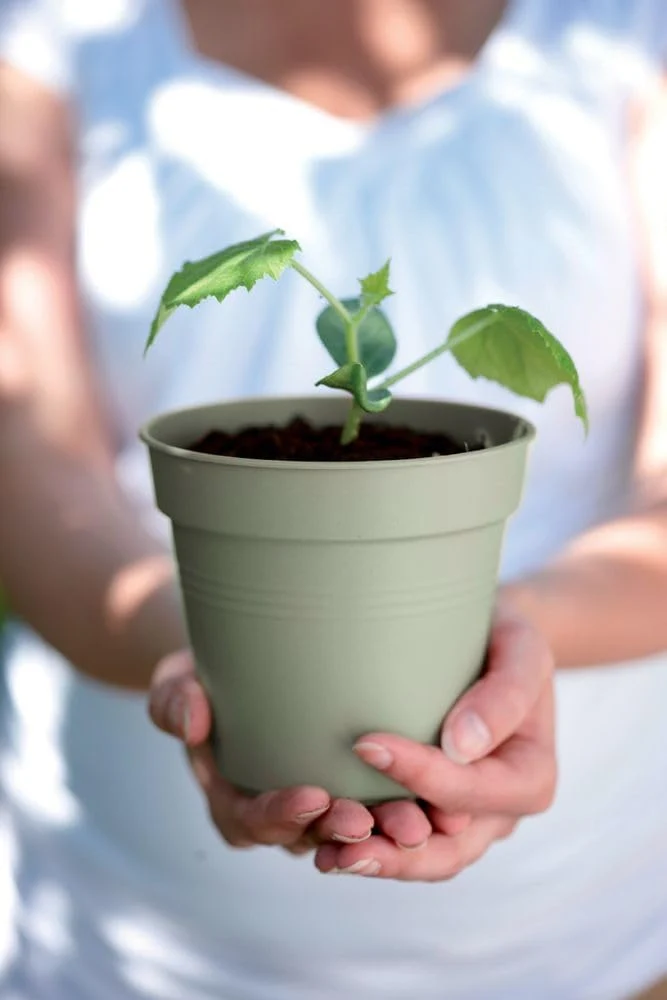VASO GREEN BASICS GROWPOT 17CM VERDE PIETRA