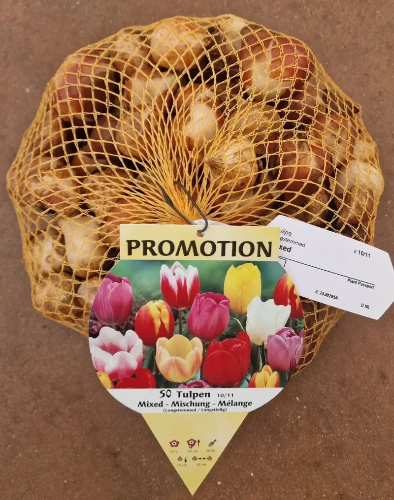 OFFERTA 30 BULBI TULIPANO MULTIFIORI MIX DI COLORI