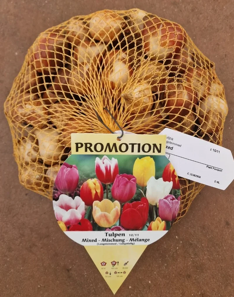 OFFERTA 70 BULBI TULIPANO MULTIFIORI MIX DI COLORI