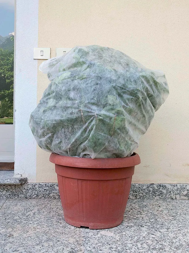 SACCOCLIMA PER PIANTE IN VASO 1,60x2 - Ø 1,00 3PZ