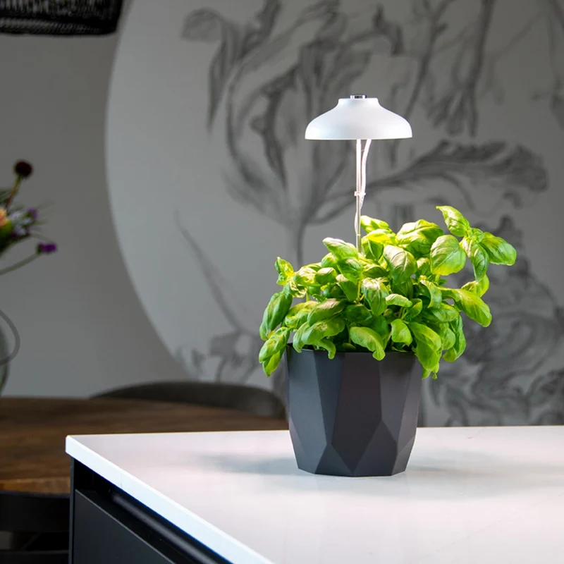 LAMPADA PER CRESCITA PIANTE BIANCA IN ACCIAIO
