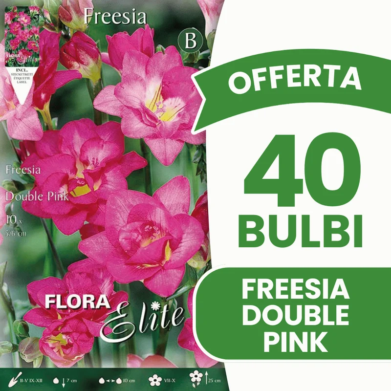 OFFERTA 40 BULBI FREESIA DOUBLE PINK