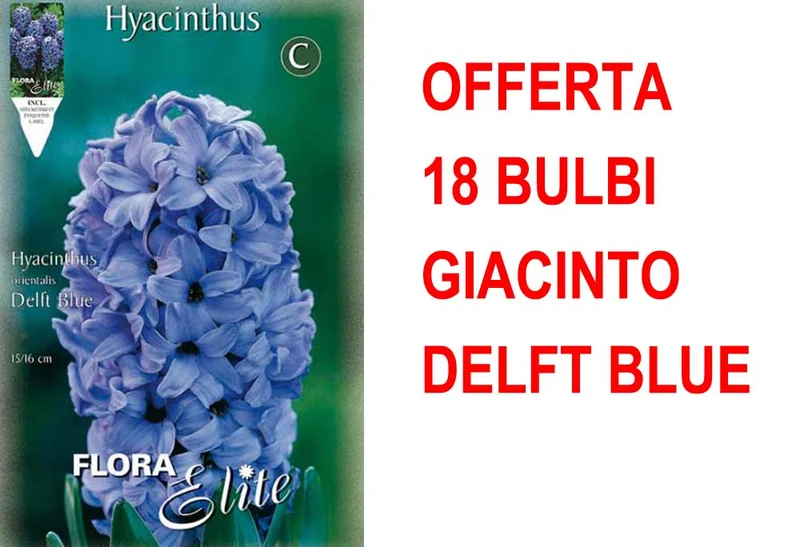 OFFERTA 18 BULBI GIACINTO DELFT'S BLAUW