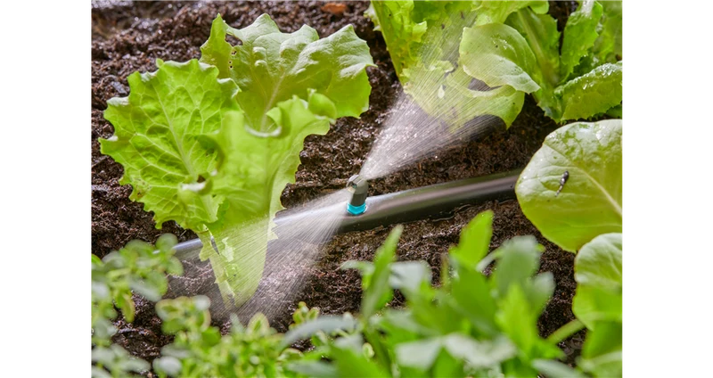 IRRIGATORE A MICROSTRISCIA