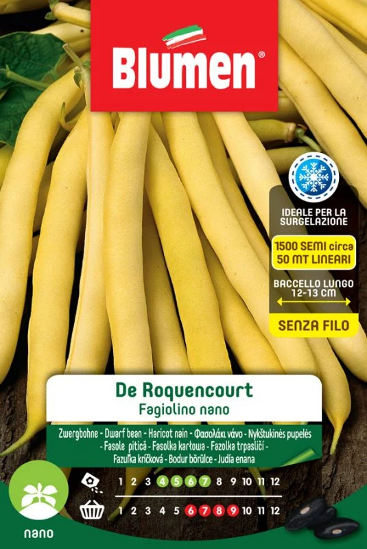 SEMI FAGIOLINO NANO ROCQUENCOURT