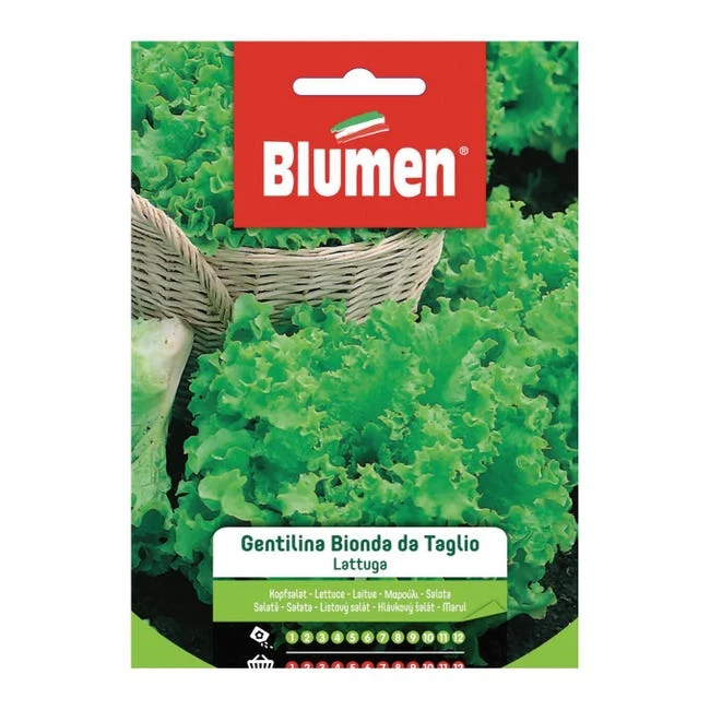 LATTUGA GENTILINA BIONDA DA TAGLIO